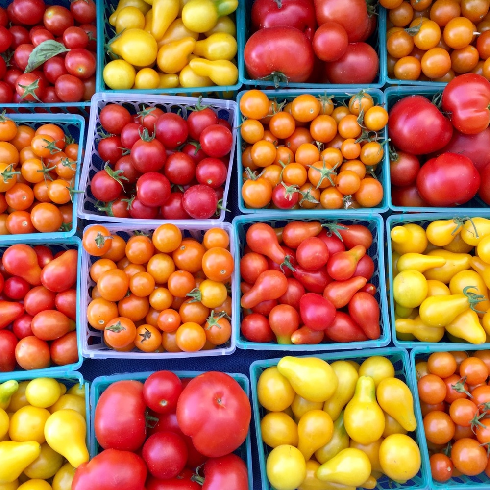 Meet your Posher, Katherine